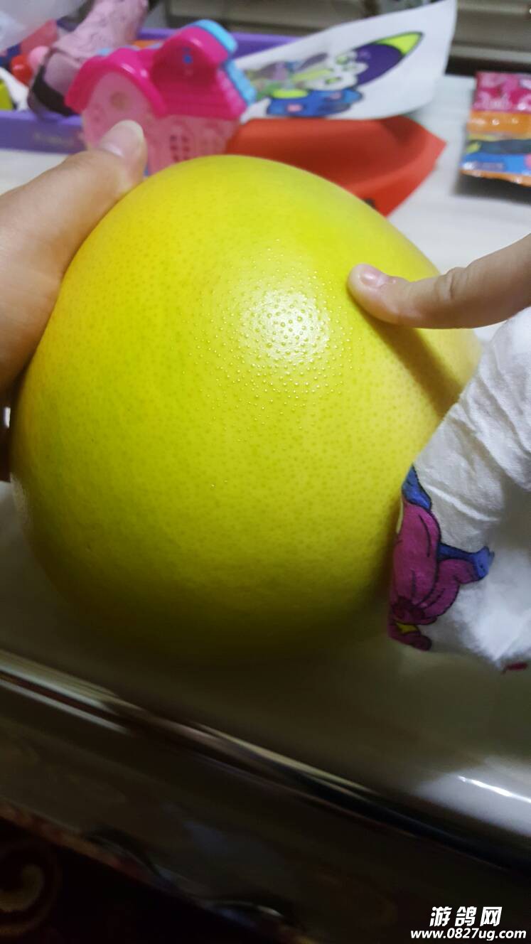 011324gfdvfd97aafa7tko.jpg
