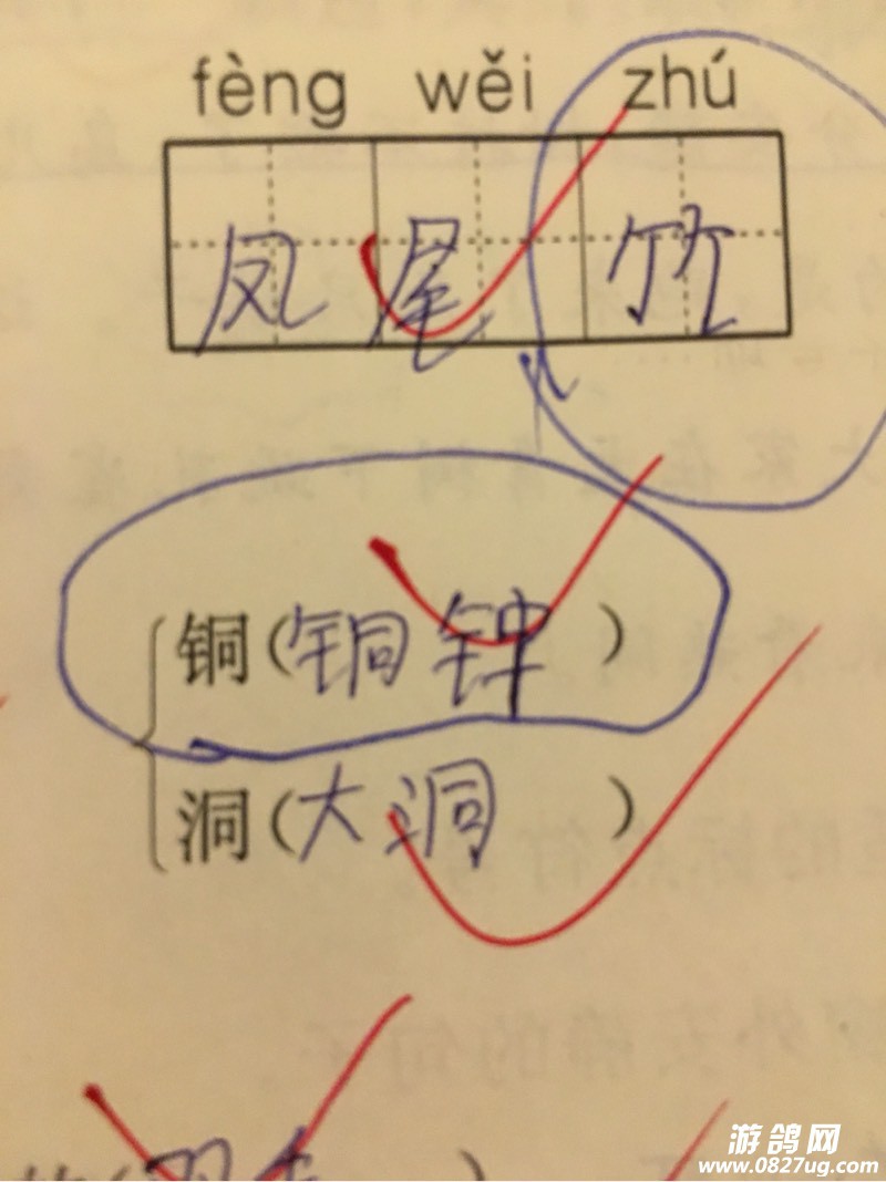 214823yrl35ygplzaull1q.jpg