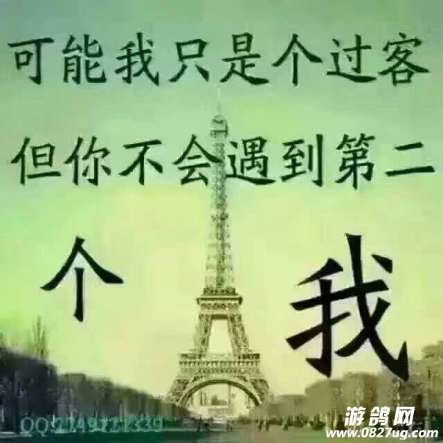 083456hgs68gd7k9kvyw6d.jpg