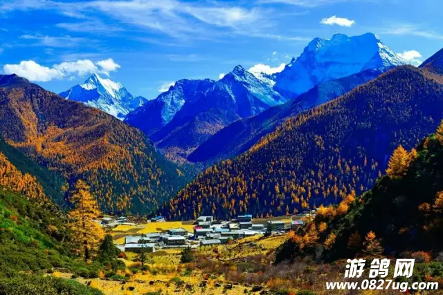 QQ图片20161010144447.png