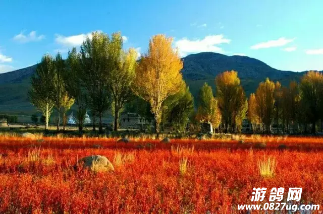 QQ图片20161010144454.png