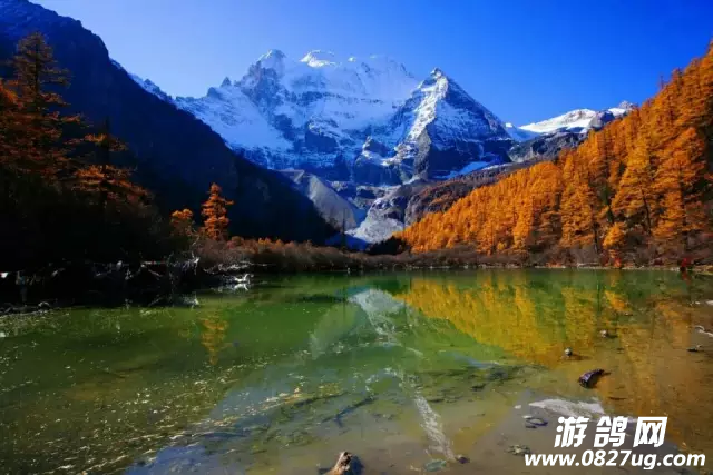 QQ图片20161010144513.png