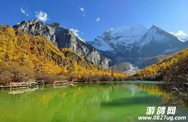 QQ图片20161010144515.png