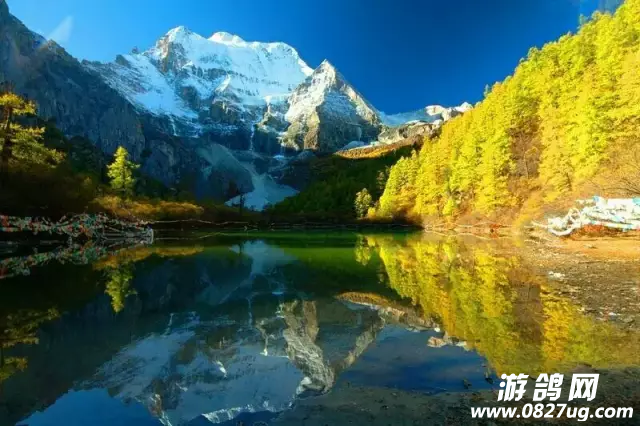 QQ图片20161010144436.png