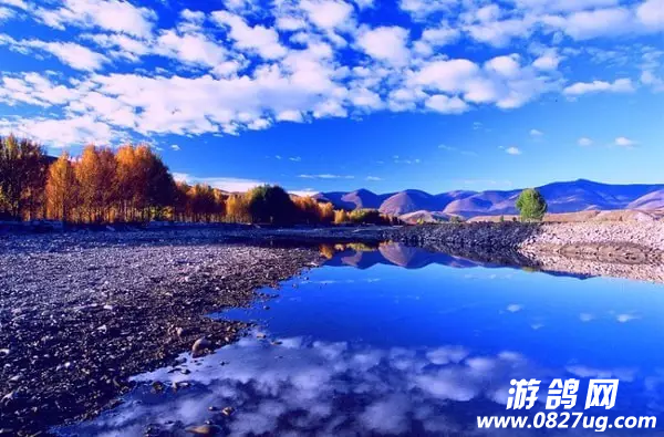 QQ图片20161010144506.png