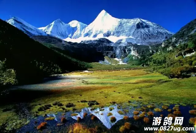 QQ图片20161010144508.png