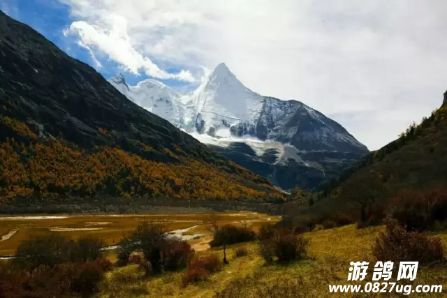 QQ图片20161010144510.png
