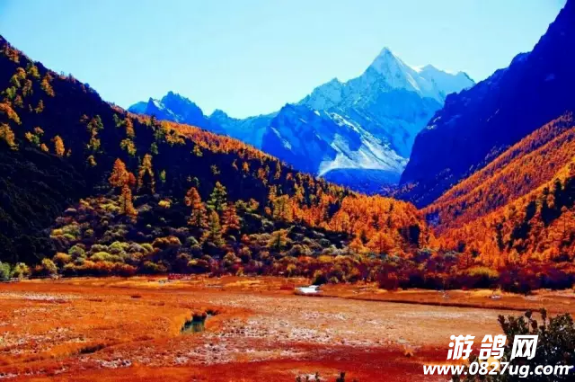 QQ图片20161010151727.png