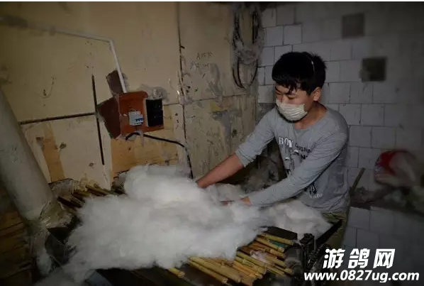 QQ截图20161012092259.png