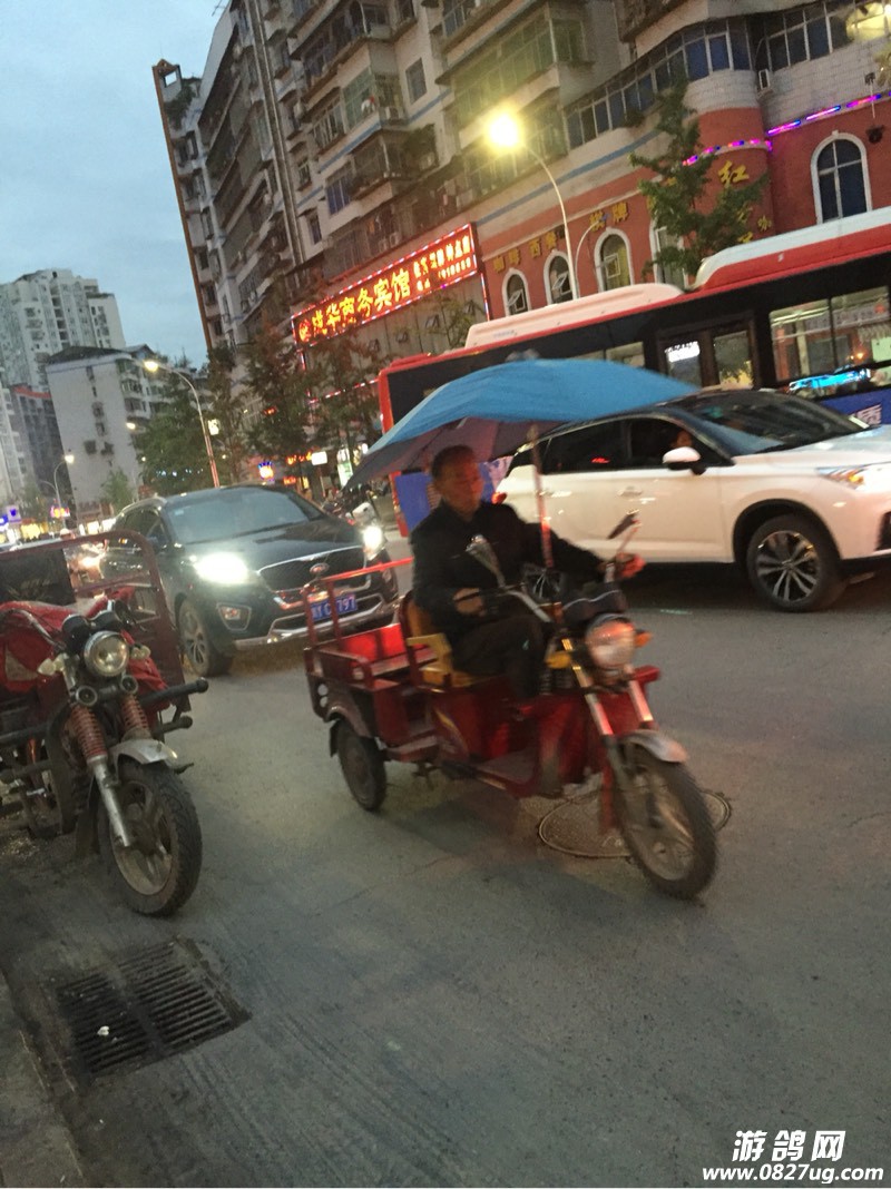184246pebci71p9919zv7s.jpg