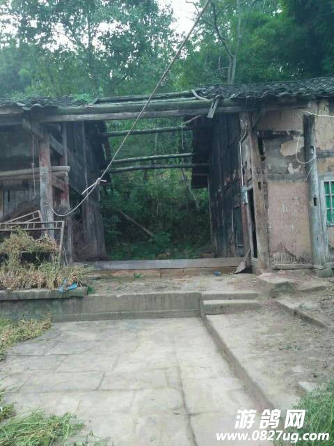 222040cxhonylyz9wl2hkp.jpg