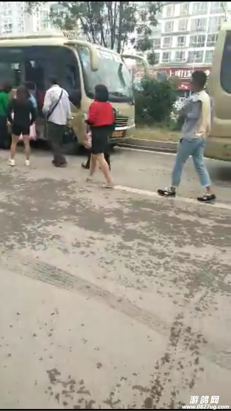 152919tlnnglopiiiw070l.jpg