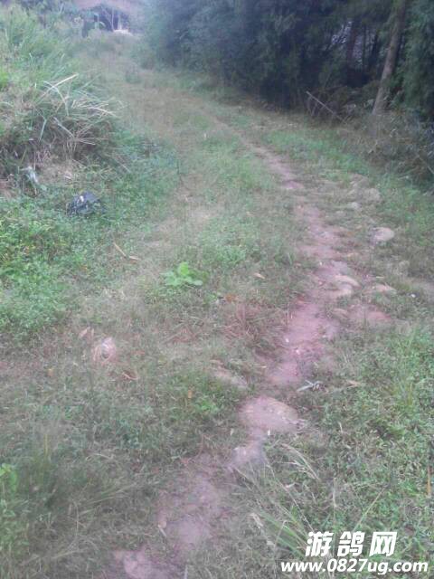 123603m8apvp1zffa6so3g.jpg