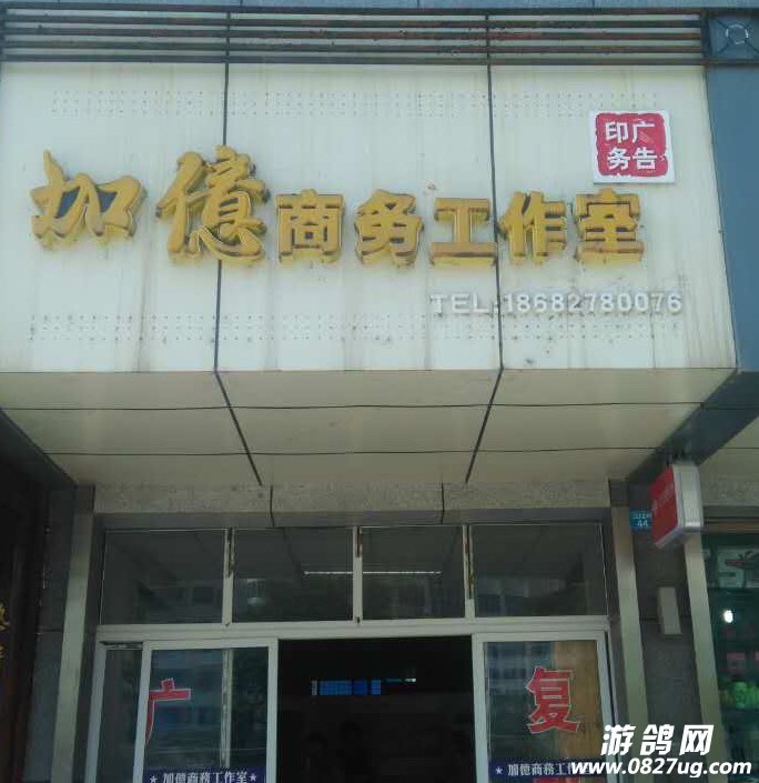 111637ybxzgnbgub171hxu.jpg