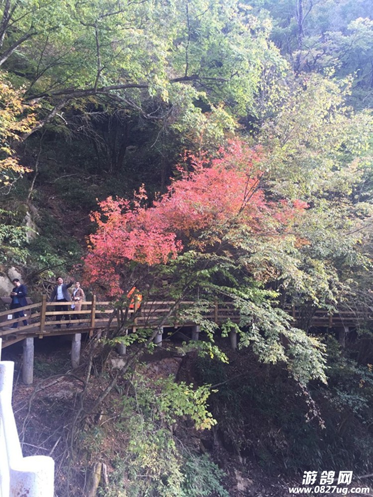 QQͼƬ20161019145245.jpg
