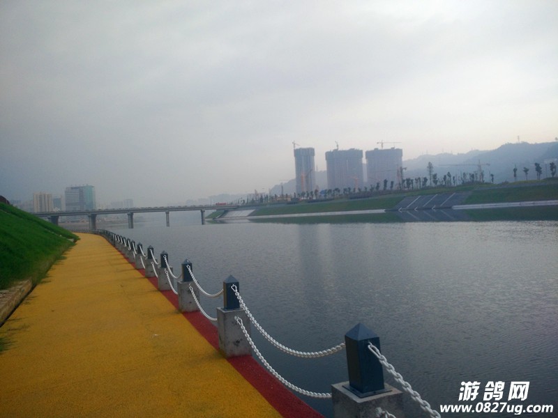IMG_20161020_075243.jpg