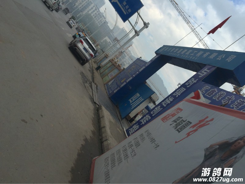 093811qg4zcc4cpp8d49q7.jpg