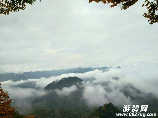 144322g5h7md9xg7gi357p.jpg