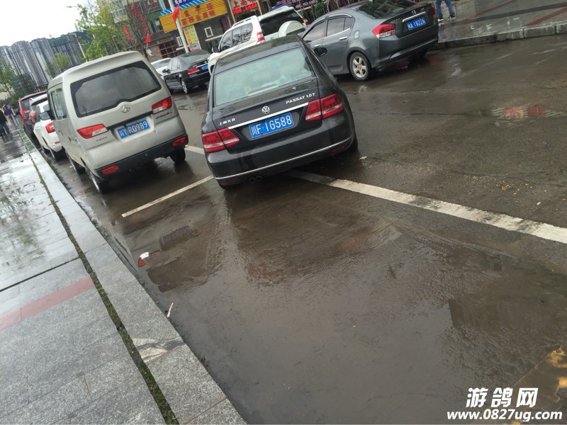 141657p0egrtj7vrp7cn00.jpg