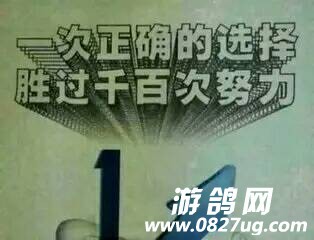 084806fpig2g8gwg68gxb8.jpg