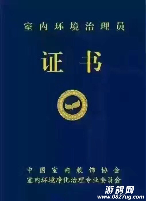 084537bqzqyzzf853zpqav.jpg