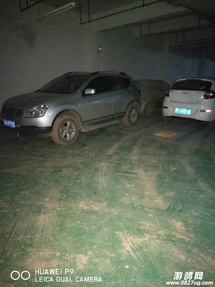225954keede6ggre7kd6de.jpg