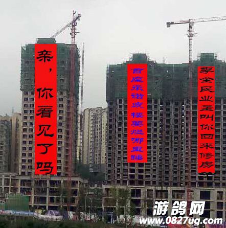 151144qaqxsjtd5pjbthrj.jpg