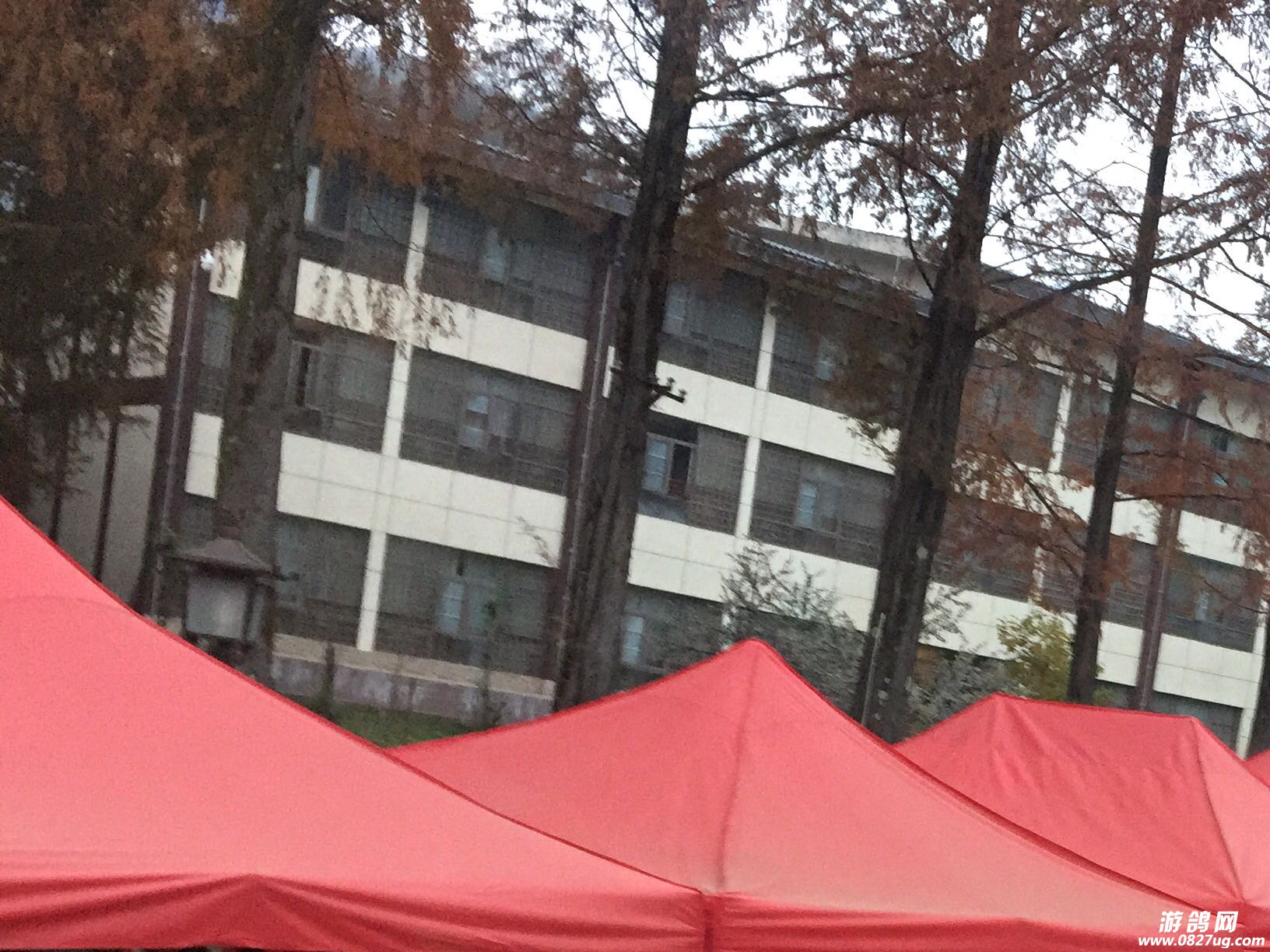 184304q72ctdjjhyhrjuj2.jpeg