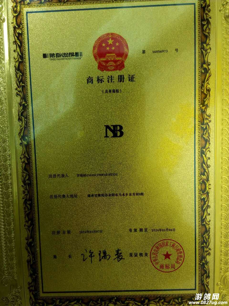 130733hhjqmpplgkjlflk7.jpg