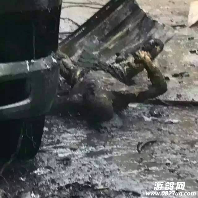 141535qqa8k2azkl2zv0hx.jpg