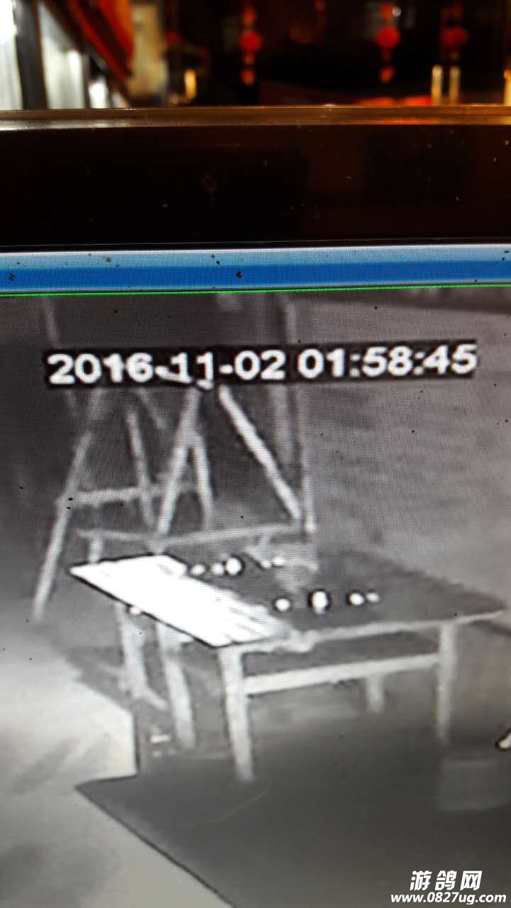 699210568766387761.jpg