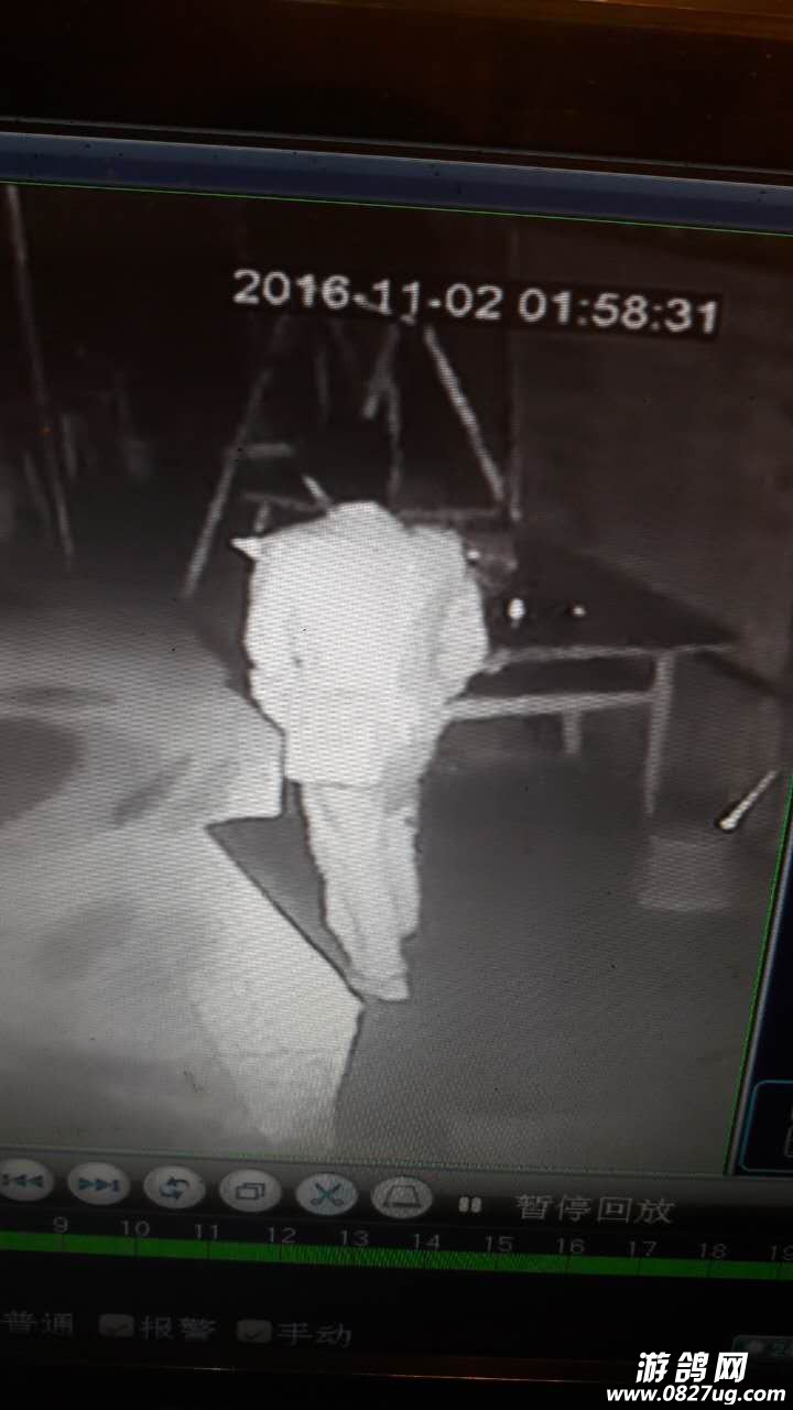 549046923241320558.jpg