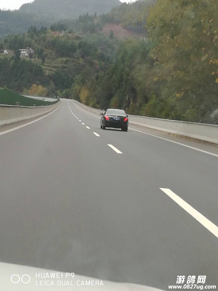 154119vl58ejp9940zypjp.jpg
