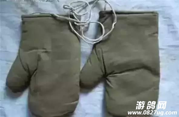 10e1000e267d88d4a147.jpg