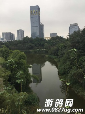 ͼƬ6.jpg
