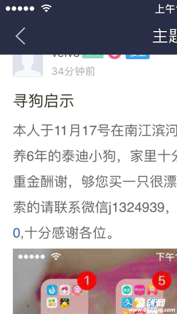 180057rzx32j3bxby833yu.PNG