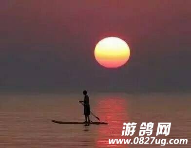 093539ycuv4n1vc2bu1oz9.jpg