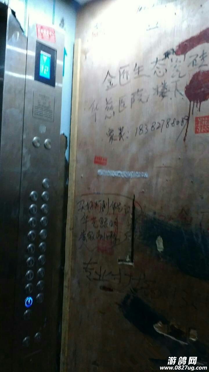 d0543f39gw1f9ndk2qy6fj20k00zk76j_.jpg
