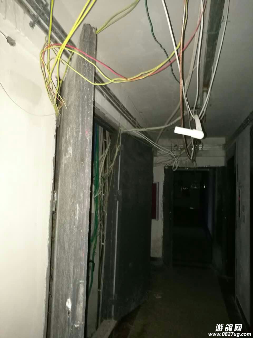 201056ims5lsnspkqv2nk0.jpg