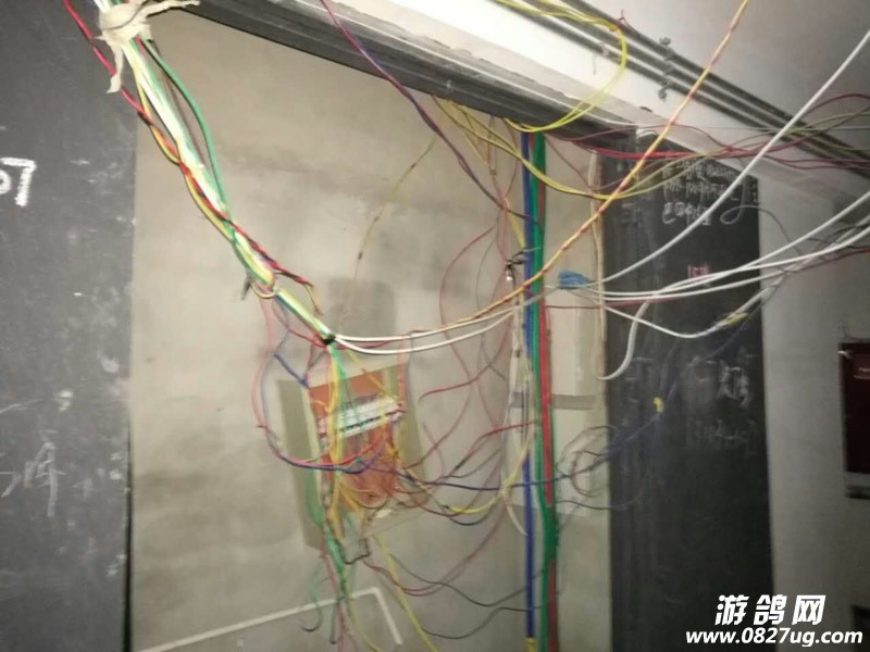 202811wn8x8676htx6kx6a.jpg
