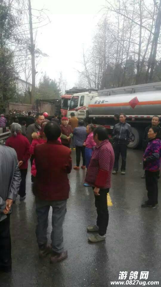 203302ir87rize8ppee1eo.jpg