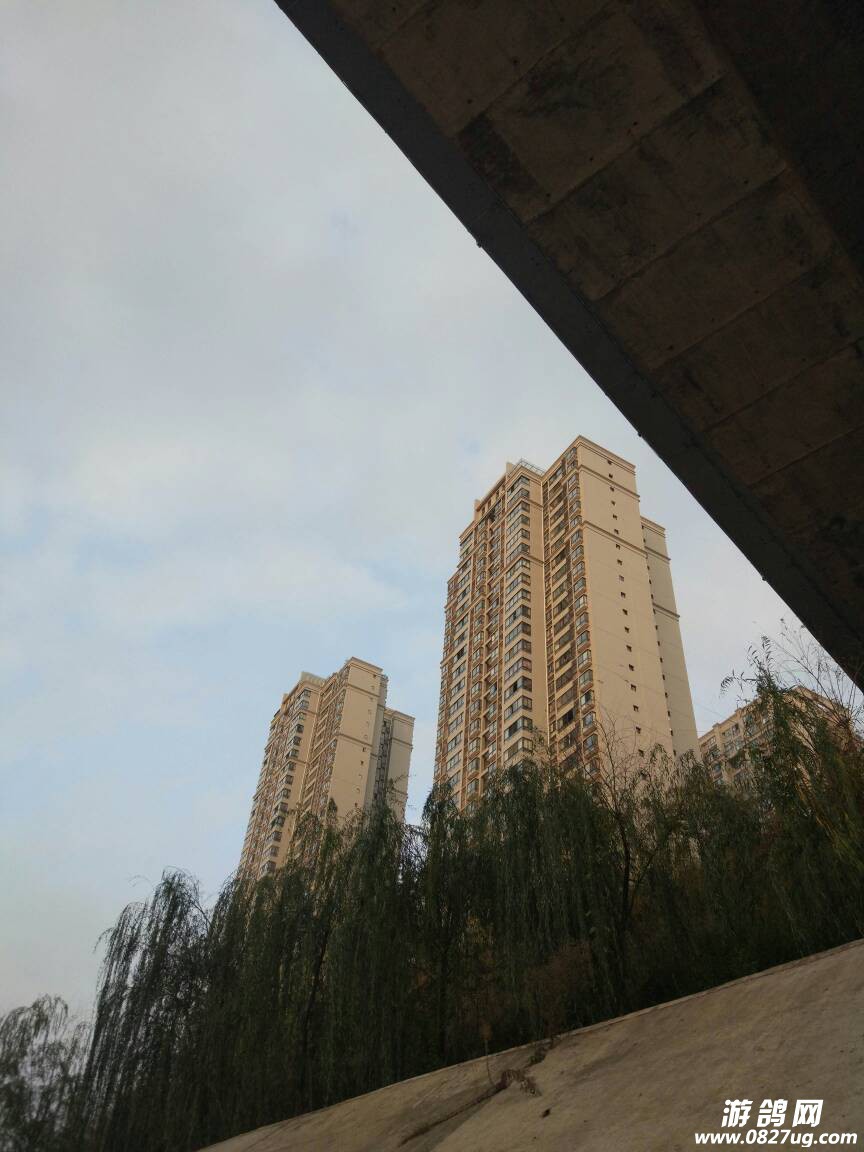 180635idhk2wfv9vrvw8w2.jpg
