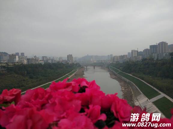 180910e42sayq8a02dn6ay.jpg