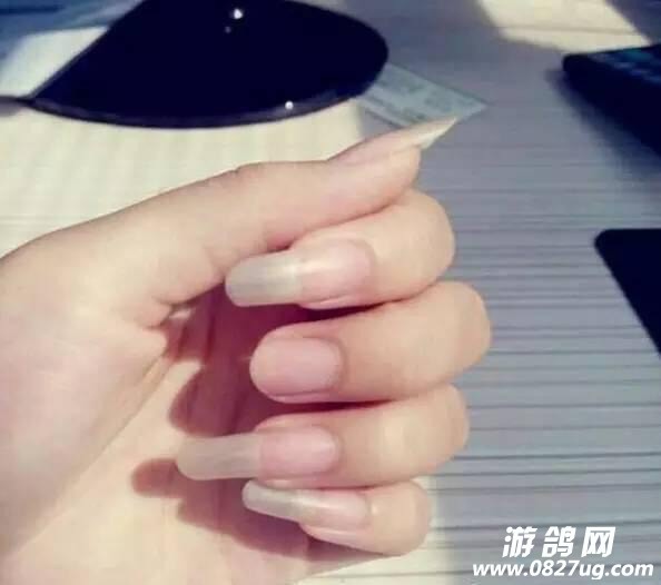 155041mh9ms4aqqne6ag6q.jpg