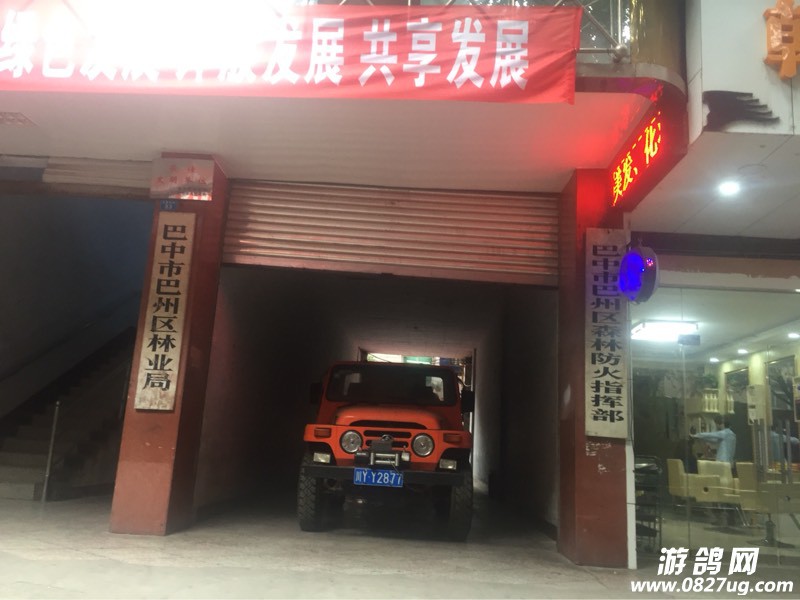103012n900u3g94p4pmub4.jpg