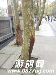 IMG_20161127_151454.jpg