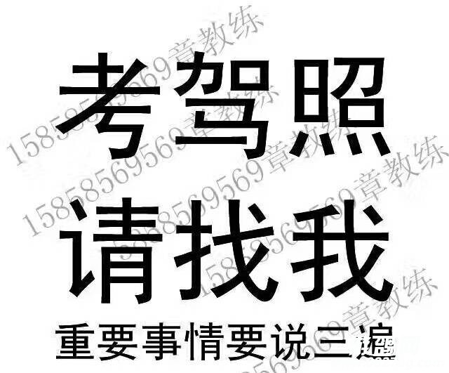 175807yr0qlqofmur91nr0.jpg