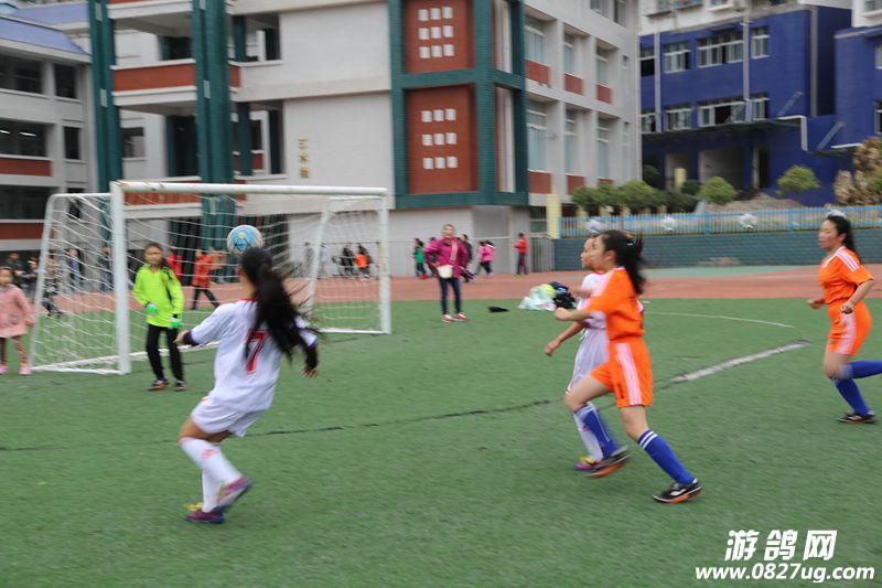 102845juhra7gsf2jhfe87.jpg