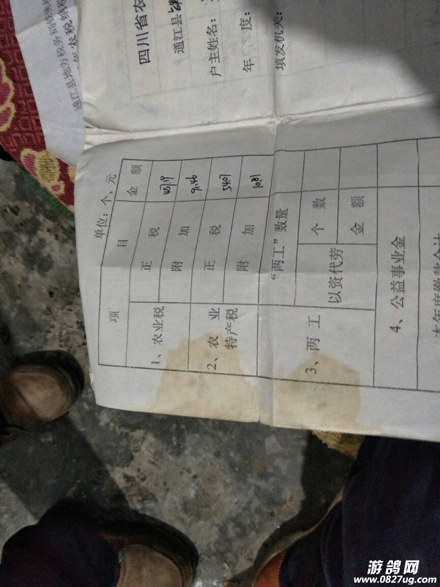 023134ffazeea2jfaga0in.jpg
