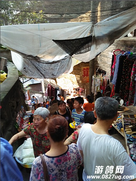 084637uv99tvnwxnqinaqy.jpg